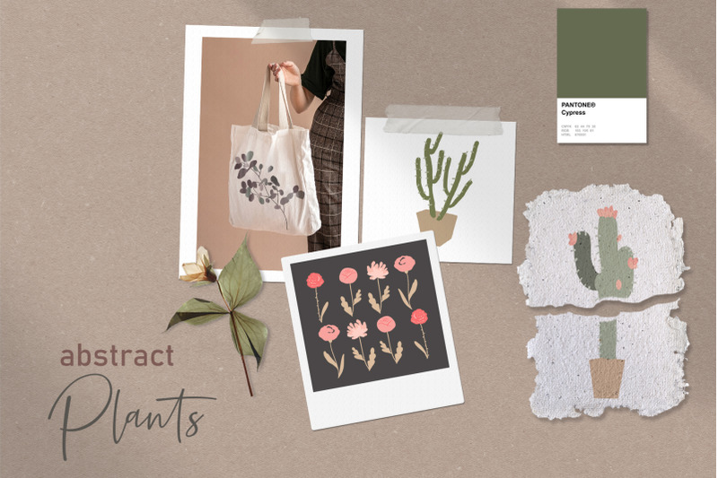 abstract-minimalistic-flowers-cactuses-dried-plants-set