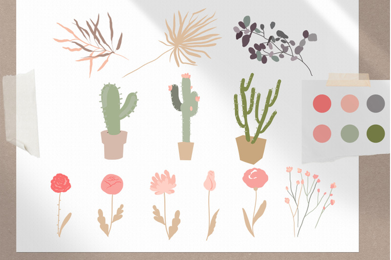 abstract-minimalistic-flowers-cactuses-dried-plants-set