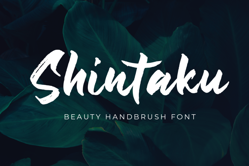 shintaku-beauty-handbrush-font