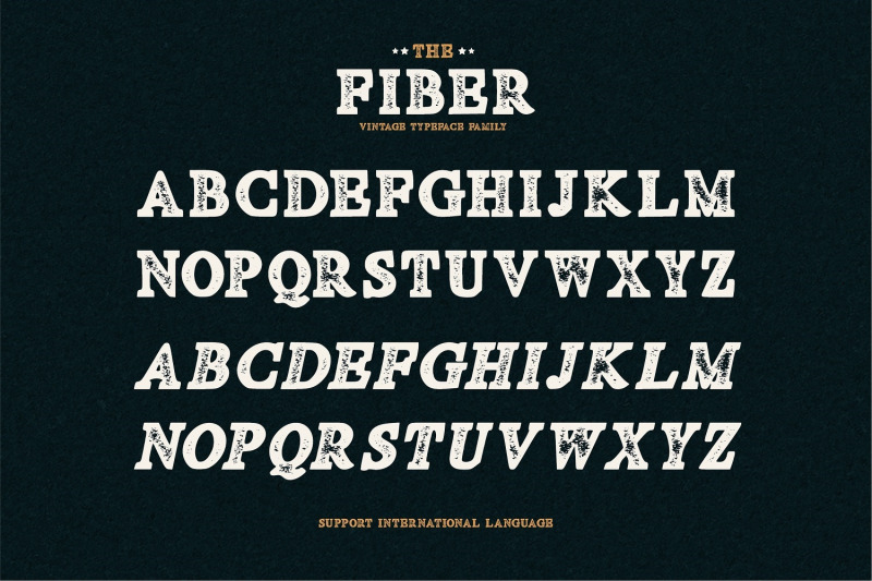 fiber-vintage-serif-font