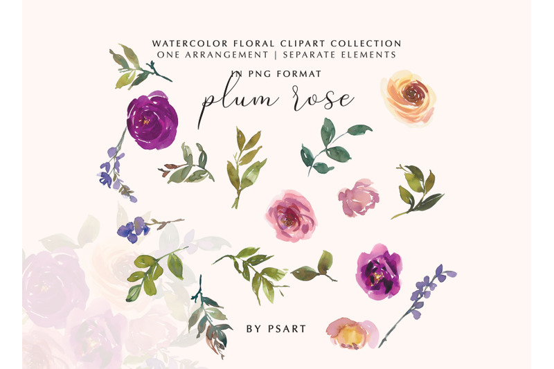 plum-and-blush-watercolor-floral-clipart-set