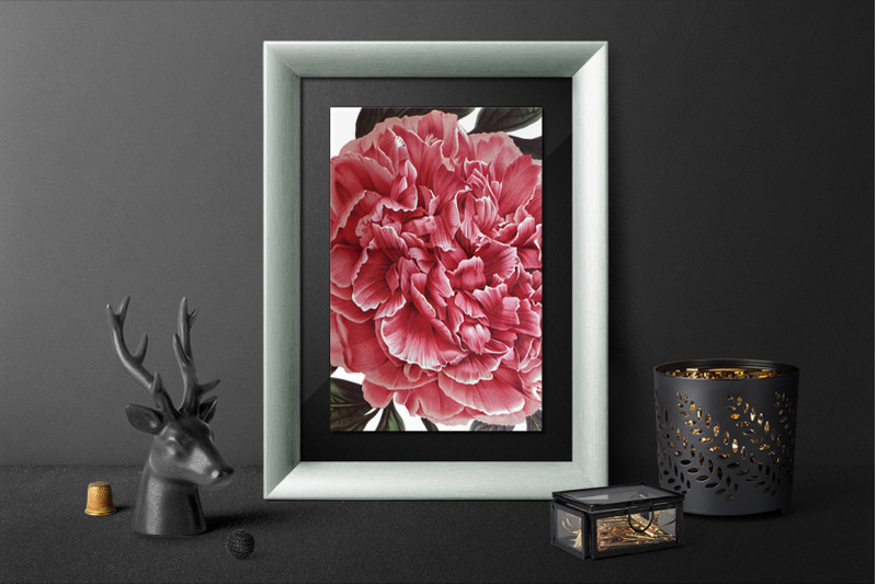 peony-clipart