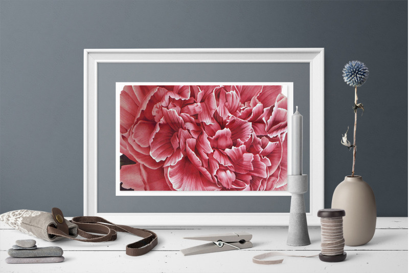 peony-clipart