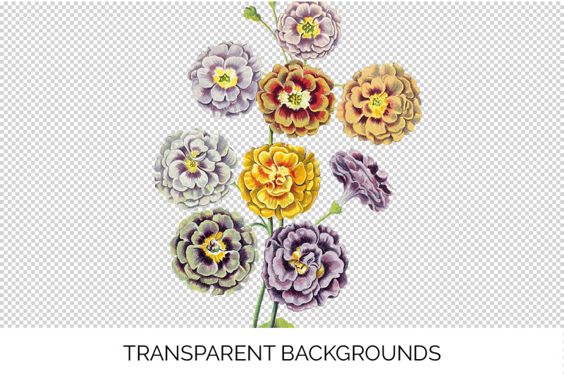 flowers-bouquet-clipart