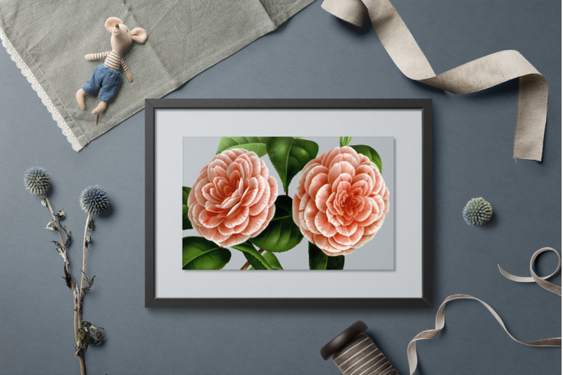 camellia-clipart