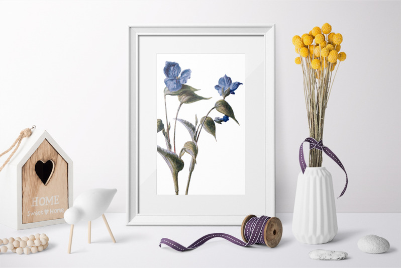 blue-flowers-clipart