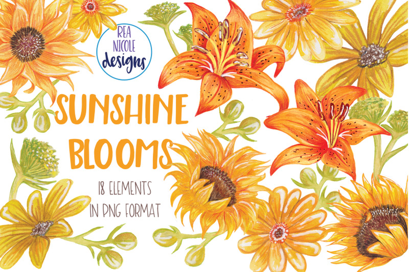 summer-sunshine-blooms-clipart