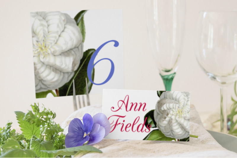 white-flower-clipart