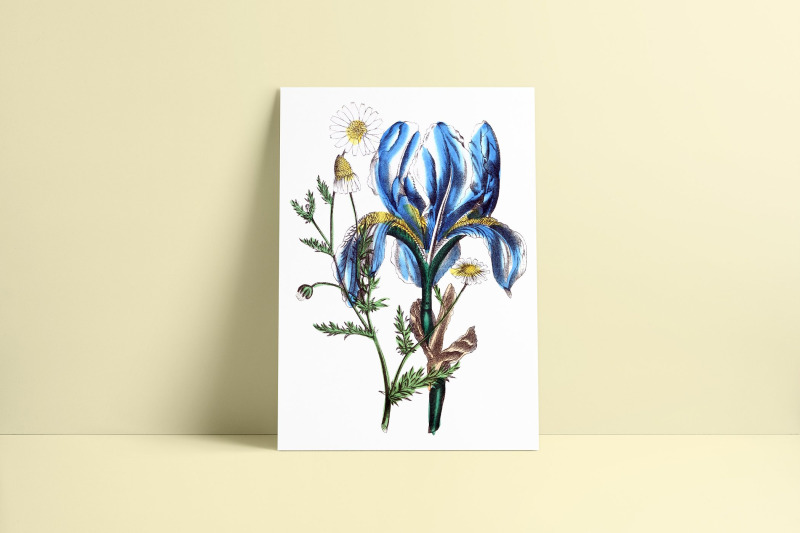 blue-flowers-clipart