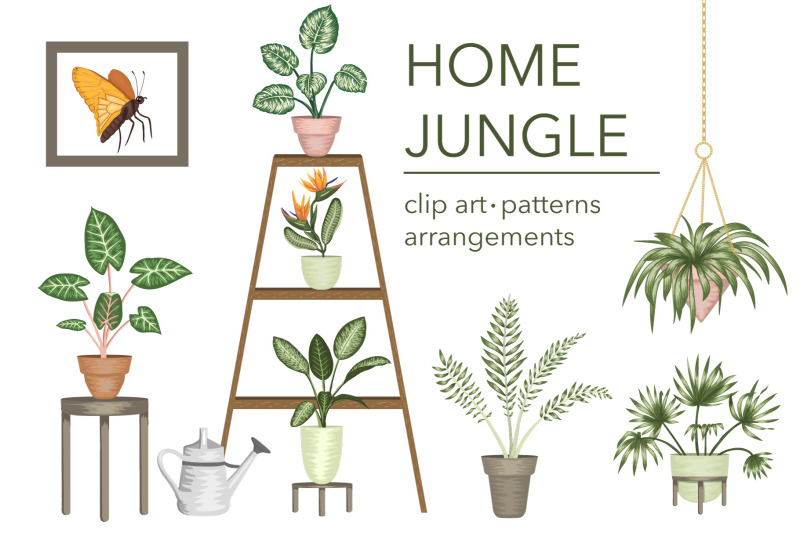 home-jungle