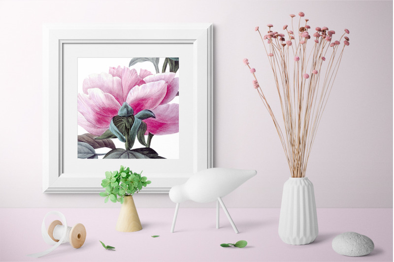 peony-clipart