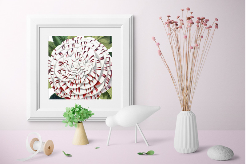 flowers-white-camellia-flowers