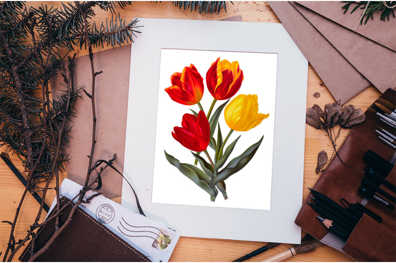 tulip-clipart