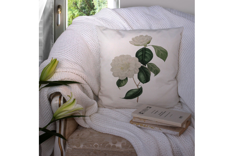 12-vintage-white-camellias-ephemera-transparent-images-png