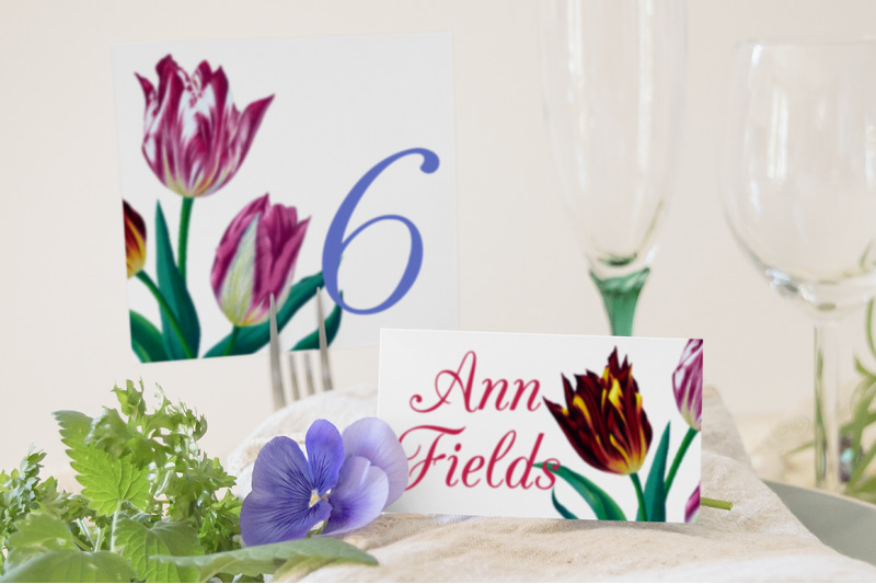 tulip-clipart