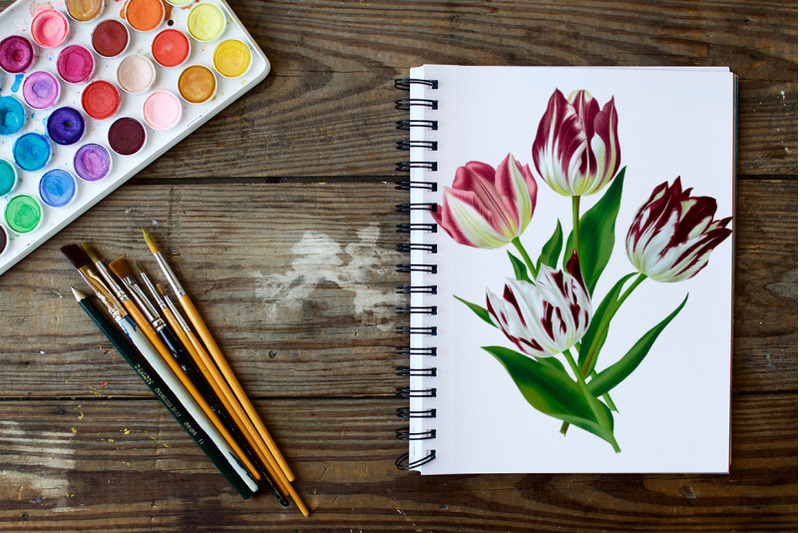 tulip-clipart