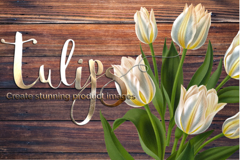 tulip-clipart