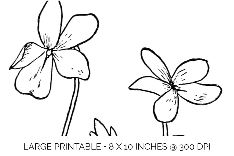 Flowers Black and White Clipart By Enliven Designs | TheHungryJPEG
