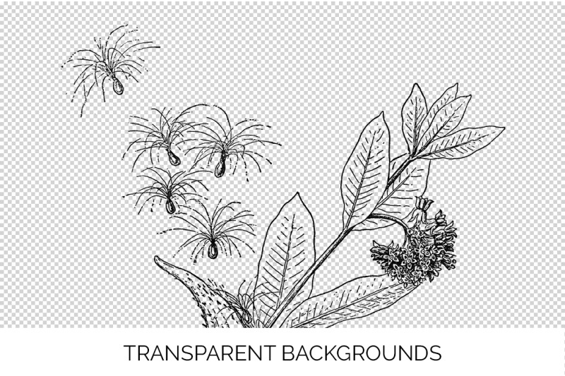 flowers-black-and-white-clipart