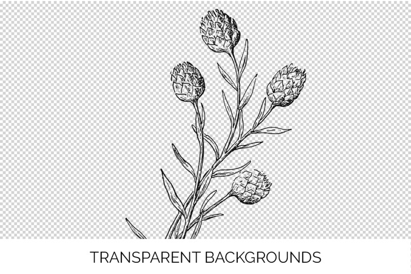 flowers-black-and-white-clipart