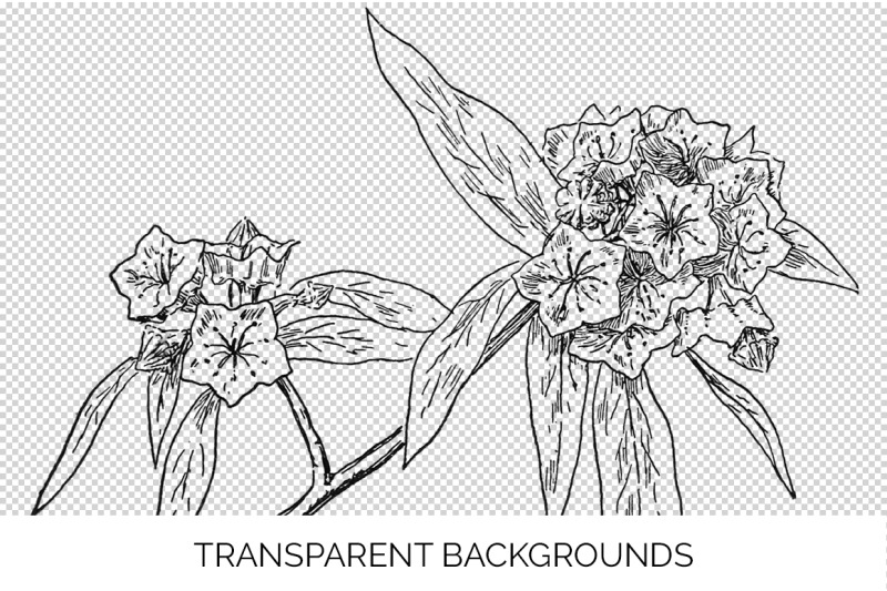 flowers-black-and-white-clipart