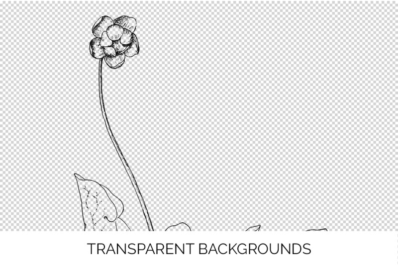 flowers-black-and-white-clipart