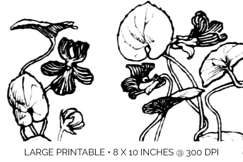 flowers-black-and-white-clipart