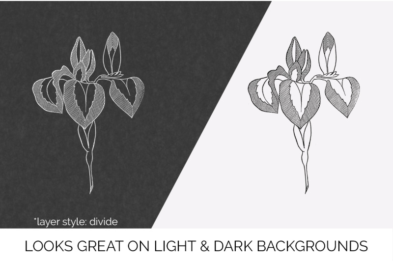 flowers-black-and-white-clipart