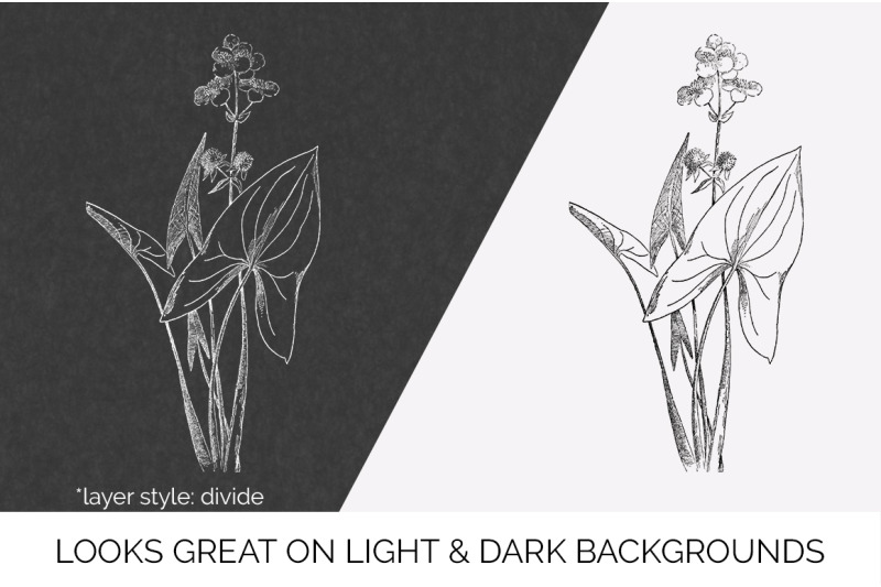 flowers-black-and-white-clipart