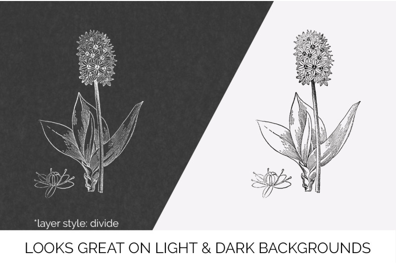 flowers-black-and-white-clipart