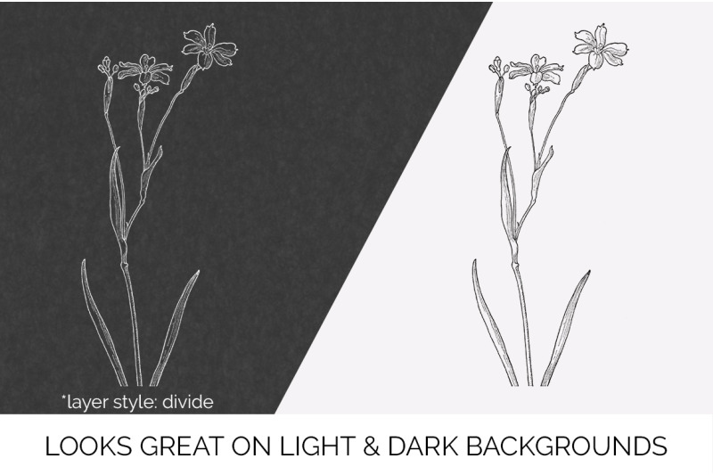 flowers-black-and-white-clipart