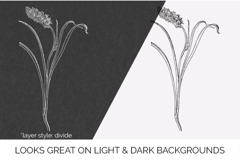 flowers-black-and-white-clipart