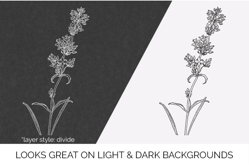 flowers-black-and-white-clipart