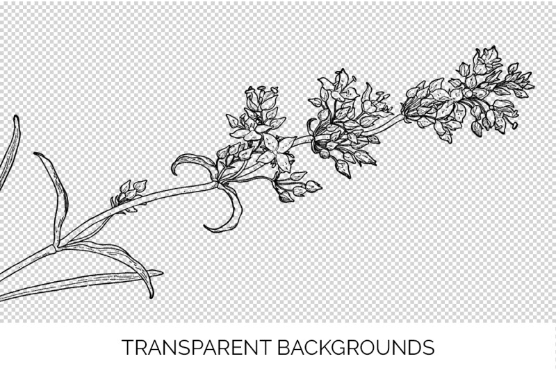 flowers-black-and-white-clipart