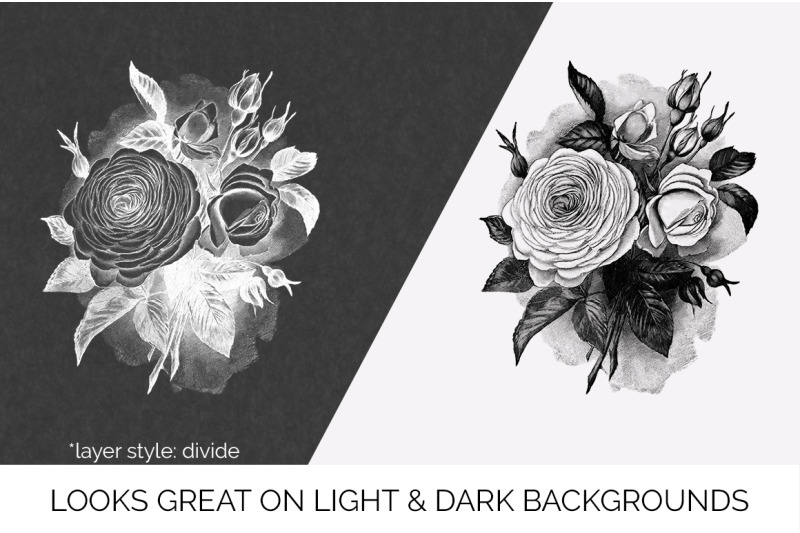 rose-black-and-white-clipart