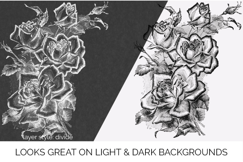 rose-black-and-white-clipart