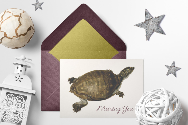 turtle-clipart-vintage