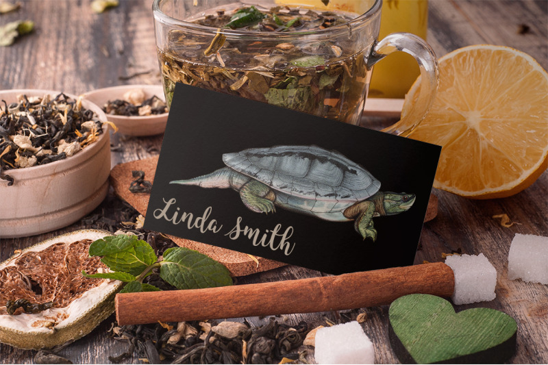 turtle-clipart-vintage