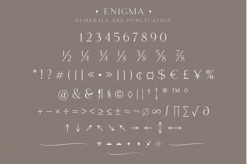 Download Enigma Fonts Family From Larin Type Co.