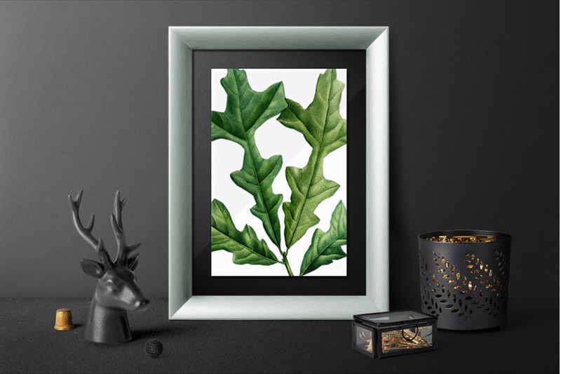 oak-leaf-vintage-clipart