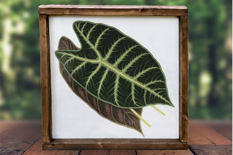 leaf-vintage-clipart