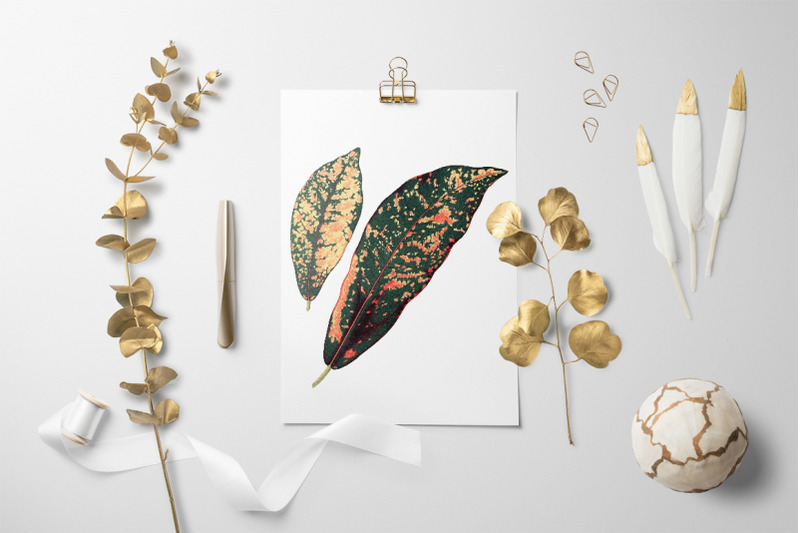 leaf-vintage-clipart