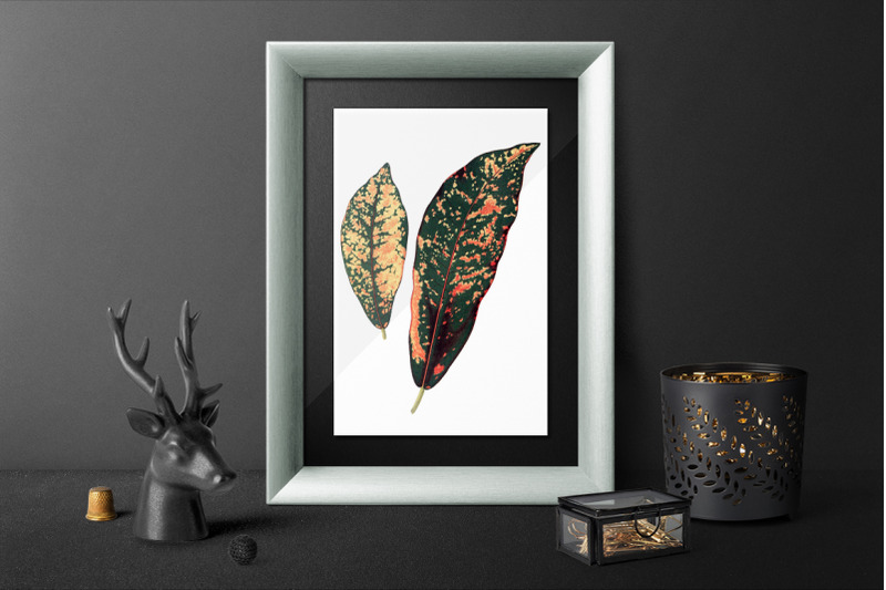 leaf-vintage-clipart