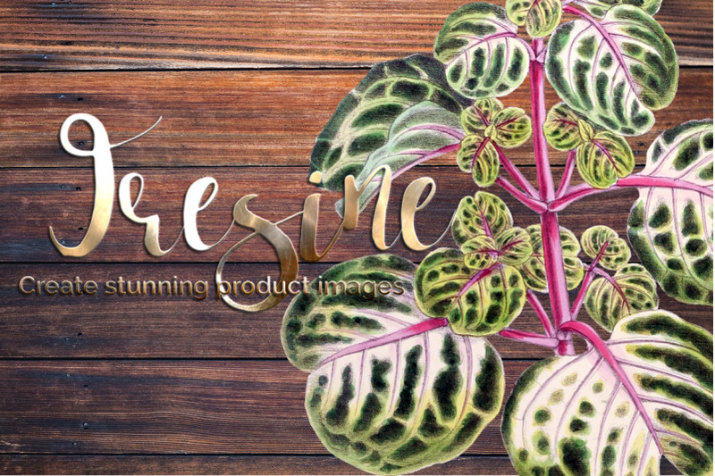 leaf-vintage-clipart