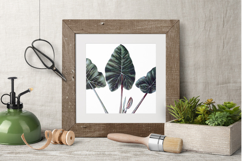 leaf-vintage-clipart