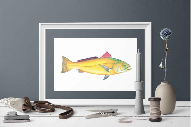 fish-clipart