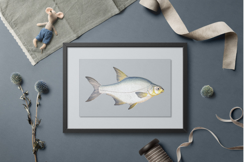 fish-clipart