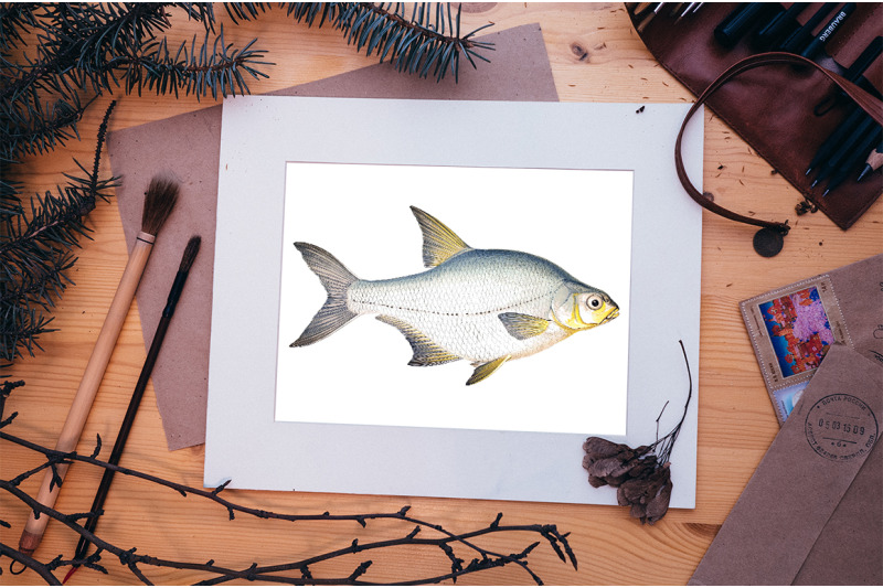 fish-clipart