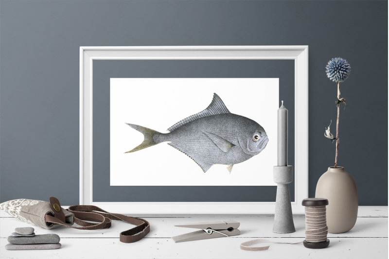 fish-clipart