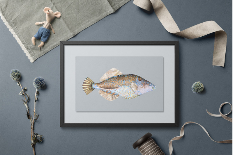 fish-clipart